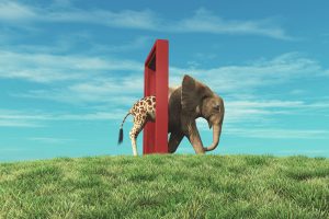 Giraffe,Entering,A,Door,And,Gets,Out,As,An,Elephant